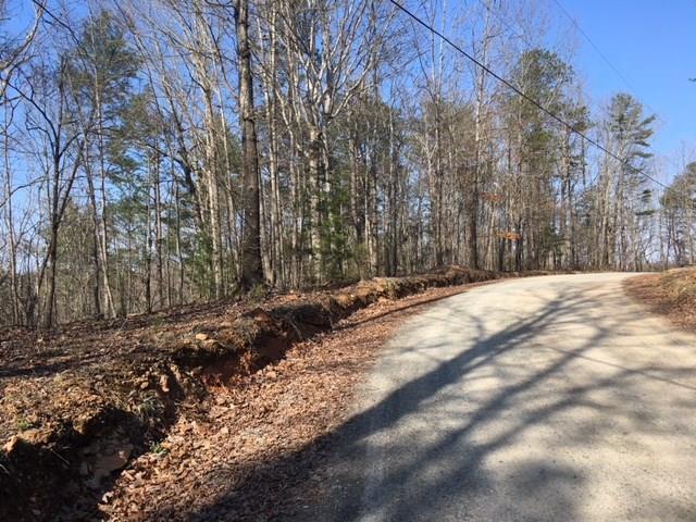 1 Raven Cliff Road Talking Rock, GA 30175 - Photo 9 of 9