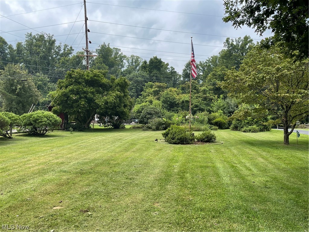 11363 Dupont Road Washington, WV 26181 - Photo 4 of 34 Beautifully manicured lawn.
