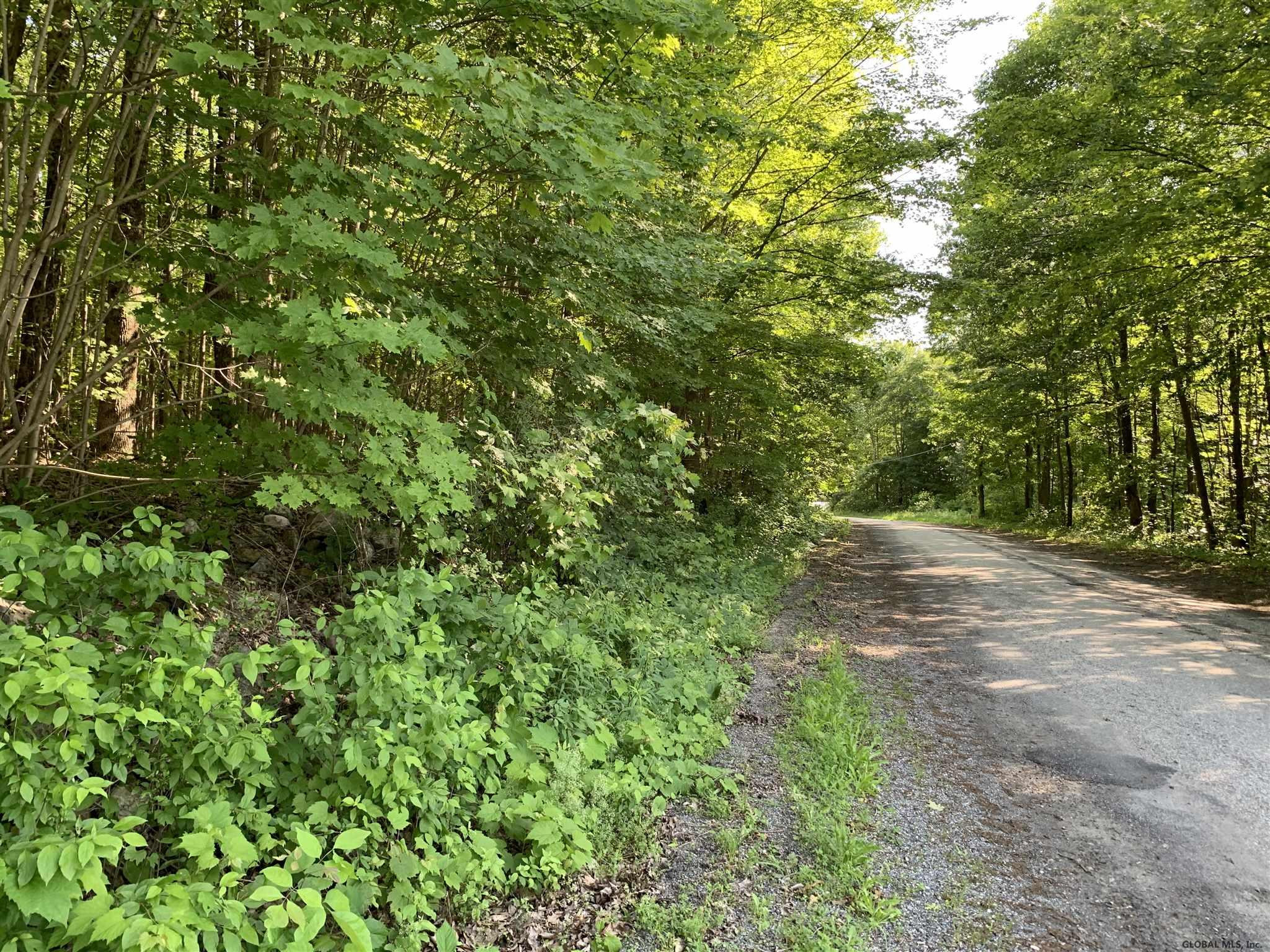 1 Beck Road Eagle Bridge, NY 12057 - Photo 5 of 10 Photo 5