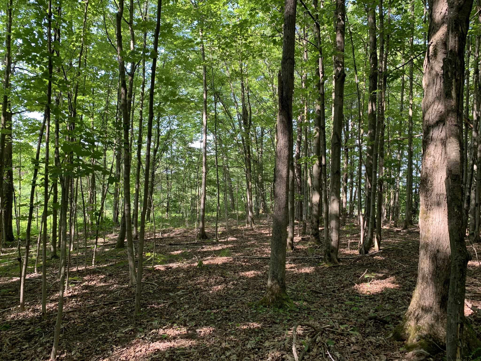 1 Beck Road Eagle Bridge, NY 12057 - Photo 7 of 10 Photo 7