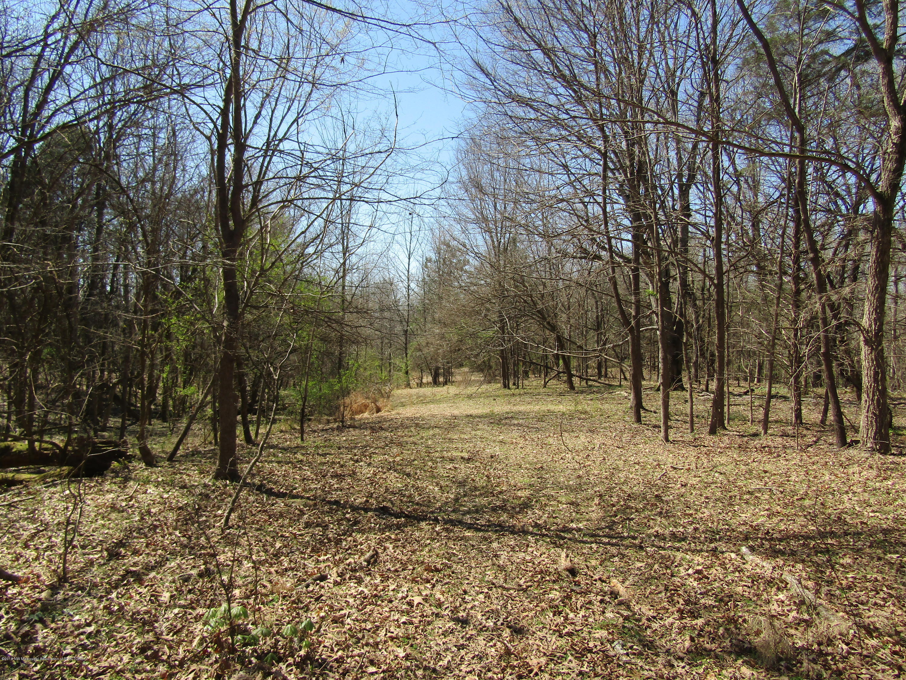 109 Melrose Street Como, MS 38619 - Photo 14 of 20 IMG_0595
