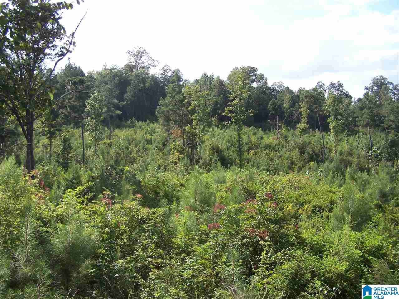 0 Jackson Trail, Unit 140 ACRES Altoona, AL 35952 - Photo 35 of 50