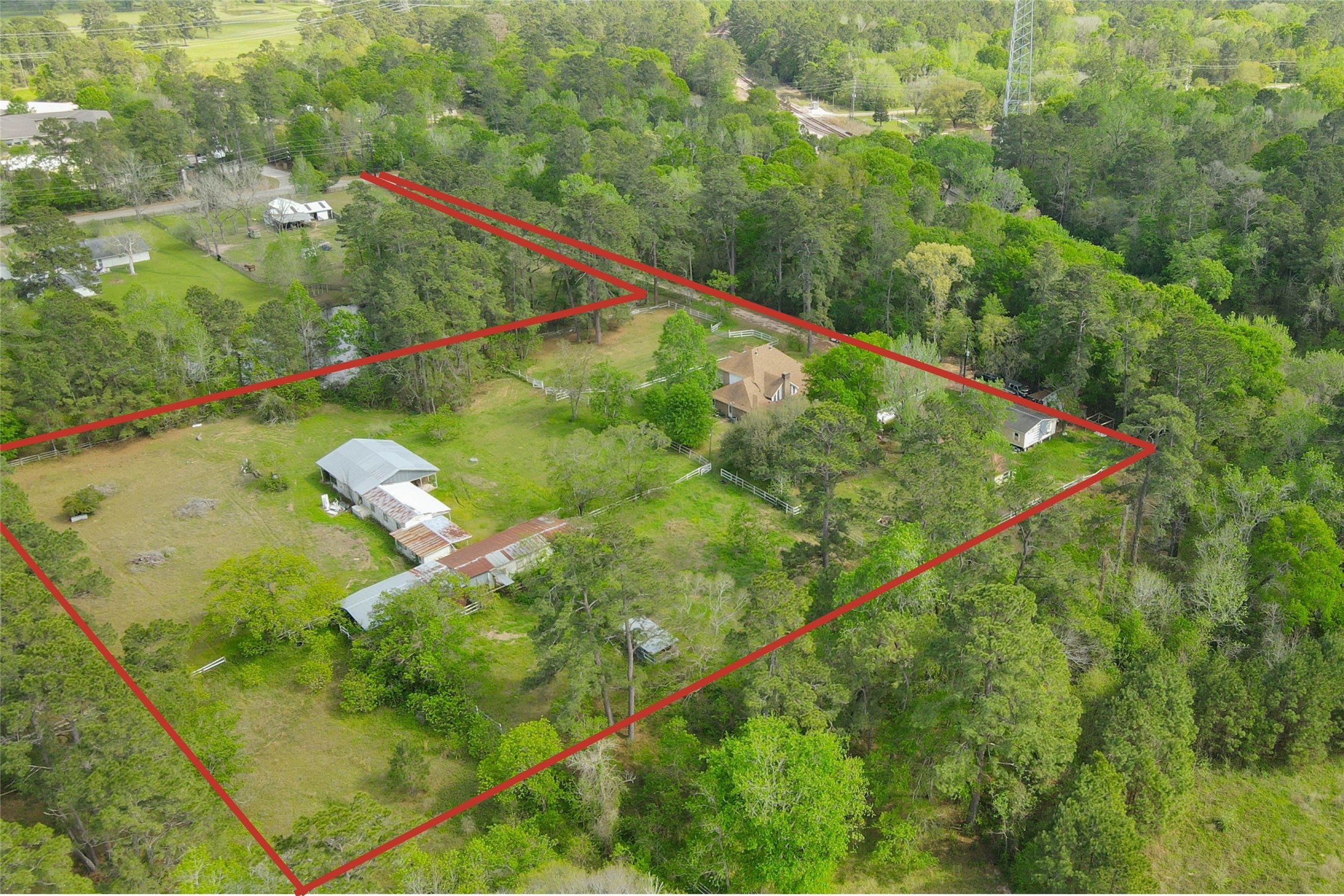 32037 Dobbin-Huffsmith Road Magnolia, TX 77354 - Photo 44 of 49 a close up of a lush green forest