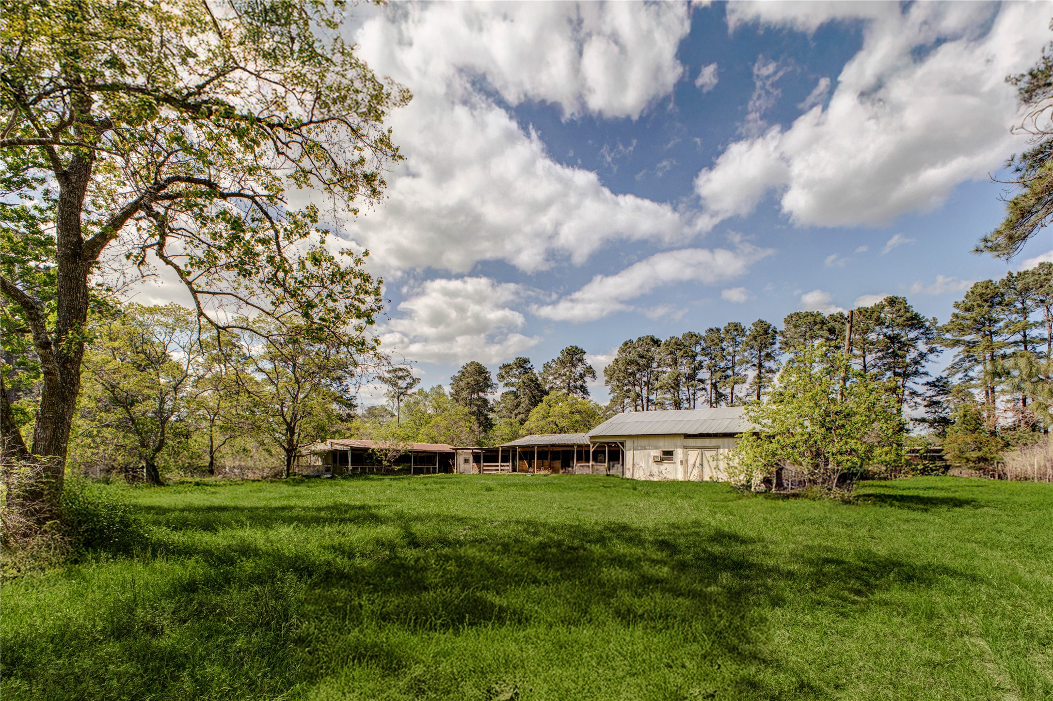 32037 Dobbin-Huffsmith Road Magnolia, TX 77354 - Photo 6 of 49 a view of a big house with a big yard and large trees