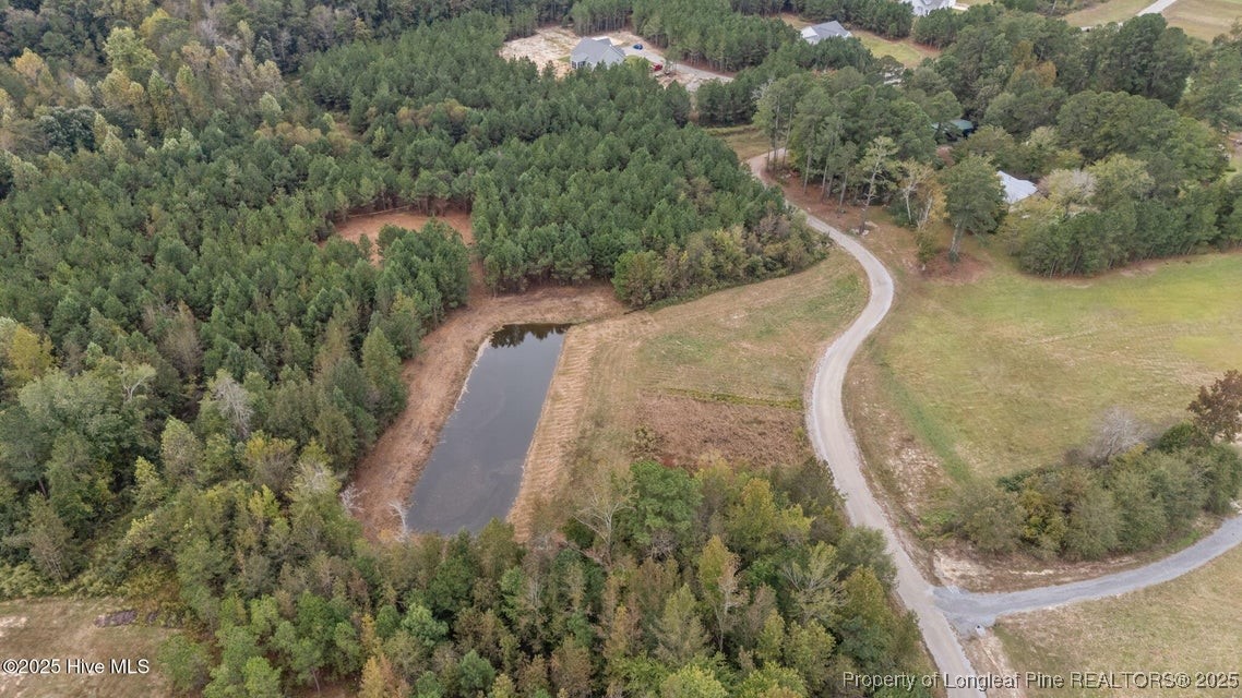 150 Hickory Pointer Way Cameron, NC 28326 - Photo 6 of 50 a view of a yard