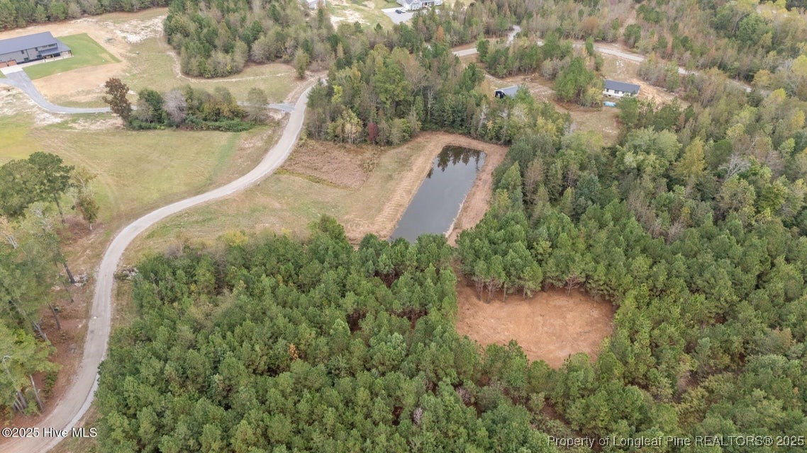 150 Hickory Pointer Way Cameron, NC 28326 - Photo 7 of 50 a view of a bird bath