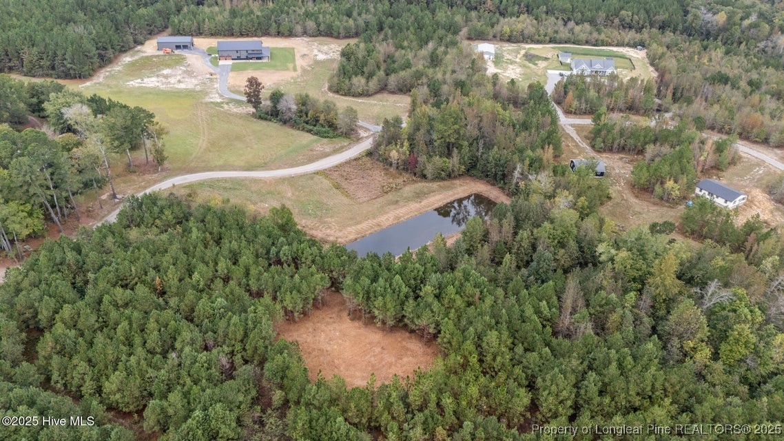 150 Hickory Pointer Way Cameron, NC 28326 - Photo 8 of 50 an aerial view of residential house with outdoor space and trees all around