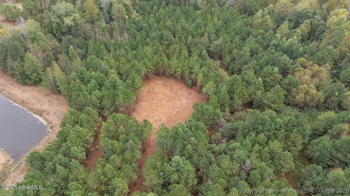 150 Hickory Pointer Way Cameron, NC 28326 - Photo 9 of 50 an aerial view of a house with a yard and covered with trees
