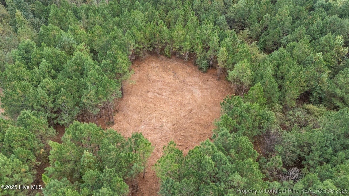 150 Hickory Pointer Way Cameron, NC 28326 - Photo 10 of 50 an aerial view of a forest with houses