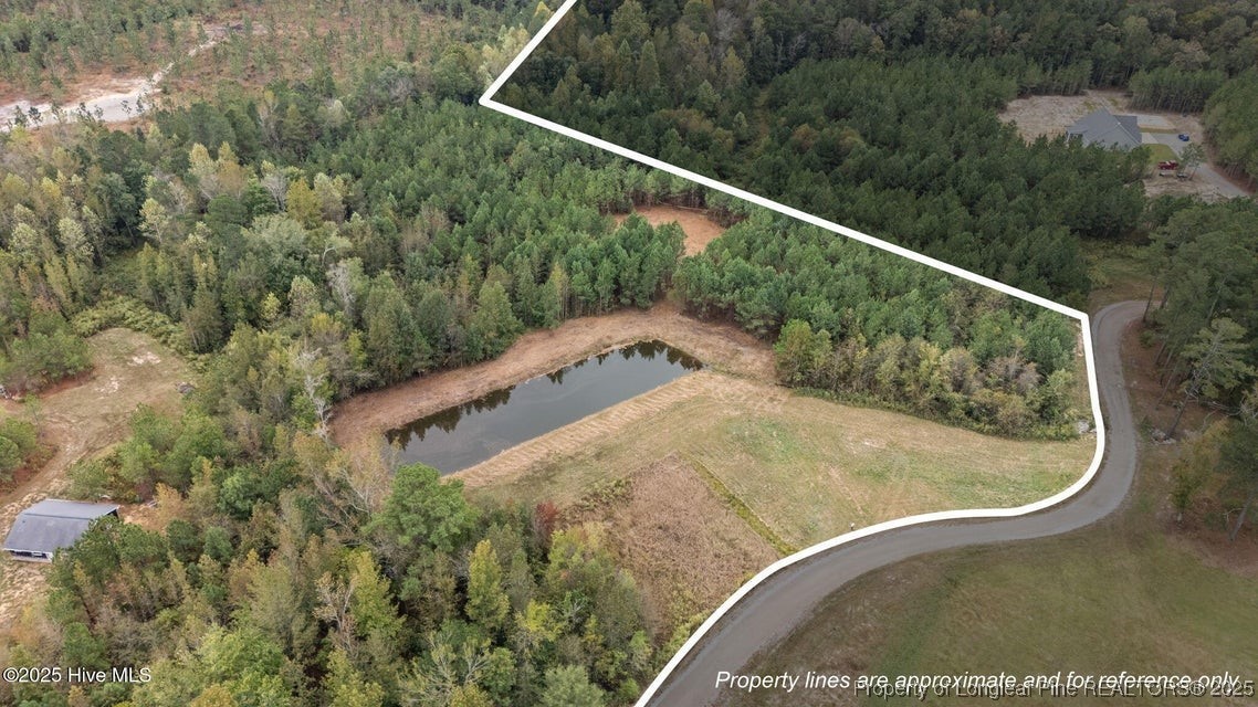 a view of a wooden floor with a forest