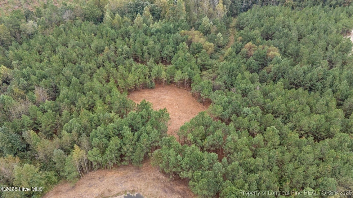 150 Hickory Pointer Way Cameron, NC 28326 - Photo 11 of 50 a view of a forest with a street