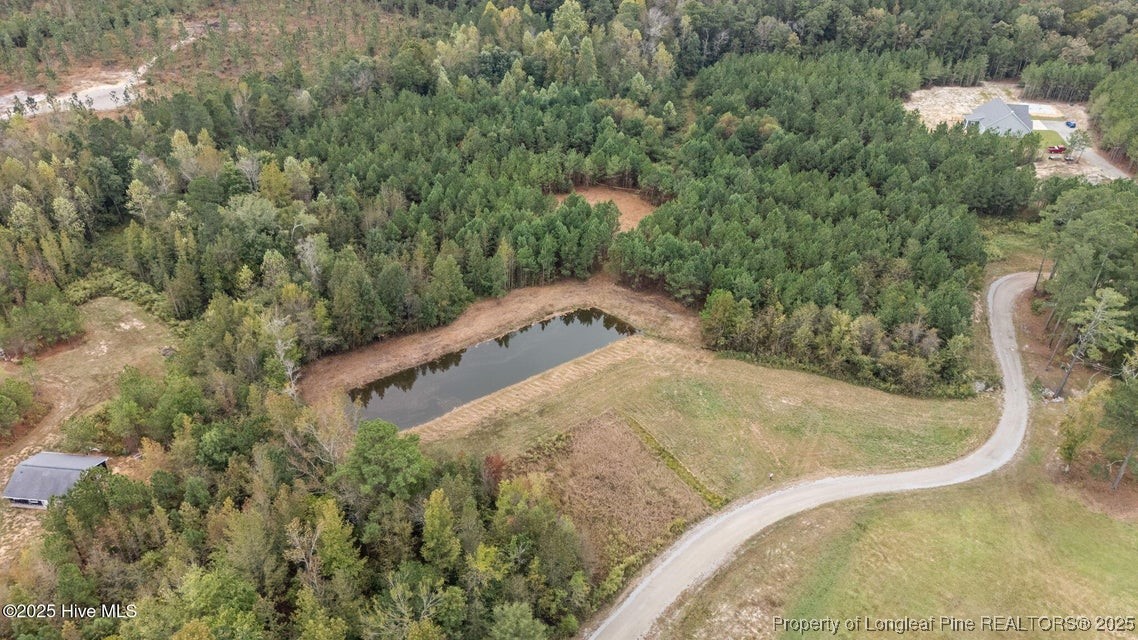 150 Hickory Pointer Way Cameron, NC 28326 - Photo 4 of 50 a view of a yard with trees