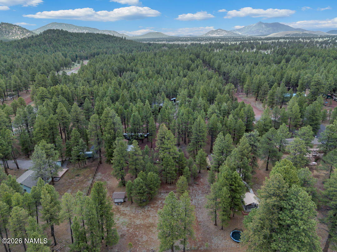 13050 Fallow Deer Road Parks, AZ 86018 - Photo 43 of 44 39-web-or-mls-Media.TimberCreekImagery-3