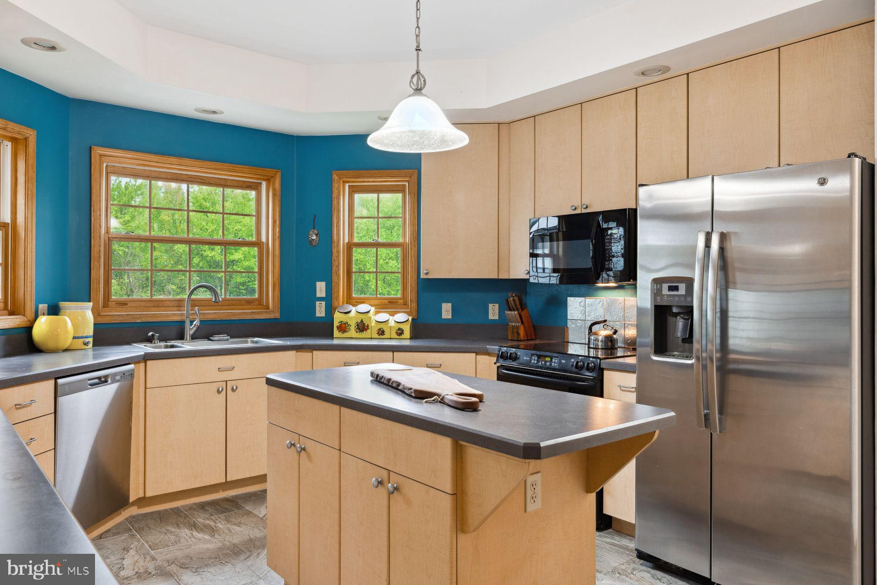1930 Ringing Rocks Road Upper Black Eddy, PA 18972 - Photo 14 of 62 Stainless appliances