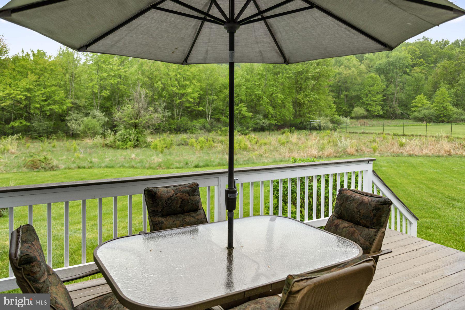 1930 Ringing Rocks Road Upper Black Eddy, PA 18972 - Photo 21 of 62 Private and tranquil back deck