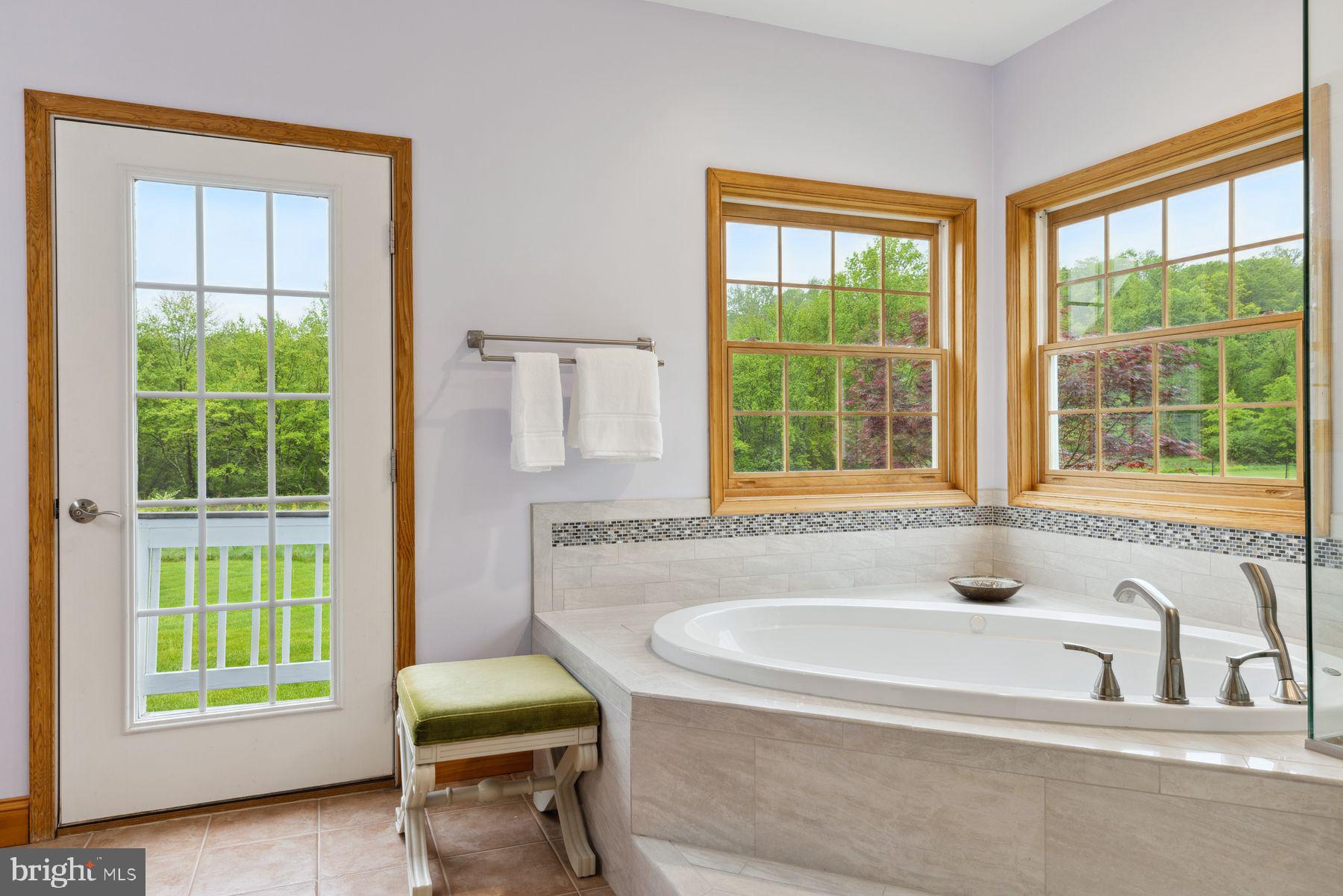 1930 Ringing Rocks Road Upper Black Eddy, PA 18972 - Photo 38 of 62 Jacuzzi tub and lots of light