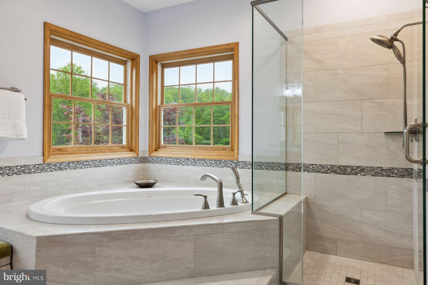 1930 Ringing Rocks Road Upper Black Eddy, PA 18972 - Photo 40 of 62 Walk-in glass shower