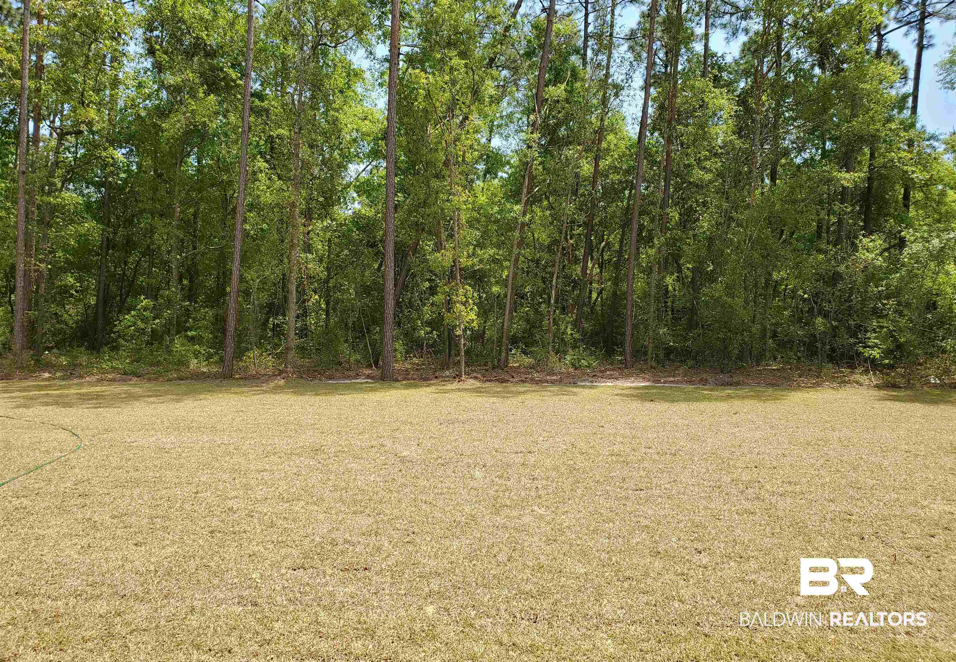 1171 Pencarro Boulevard Foley, AL 36535 - Photo 2 of 4 Backyard