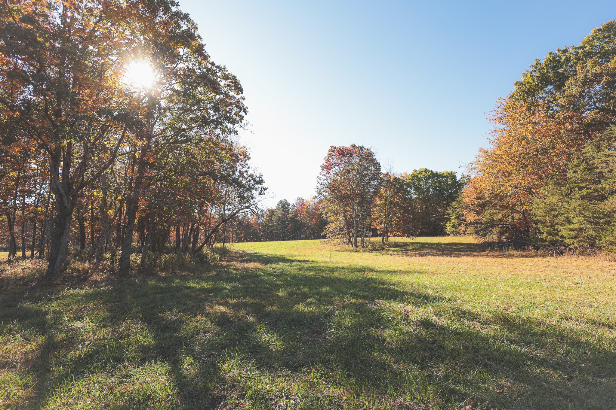 1047 Nelson Harrison Road Evensville, TN 37332 - Photo 14 of 100 a view of an outdoor space and trees