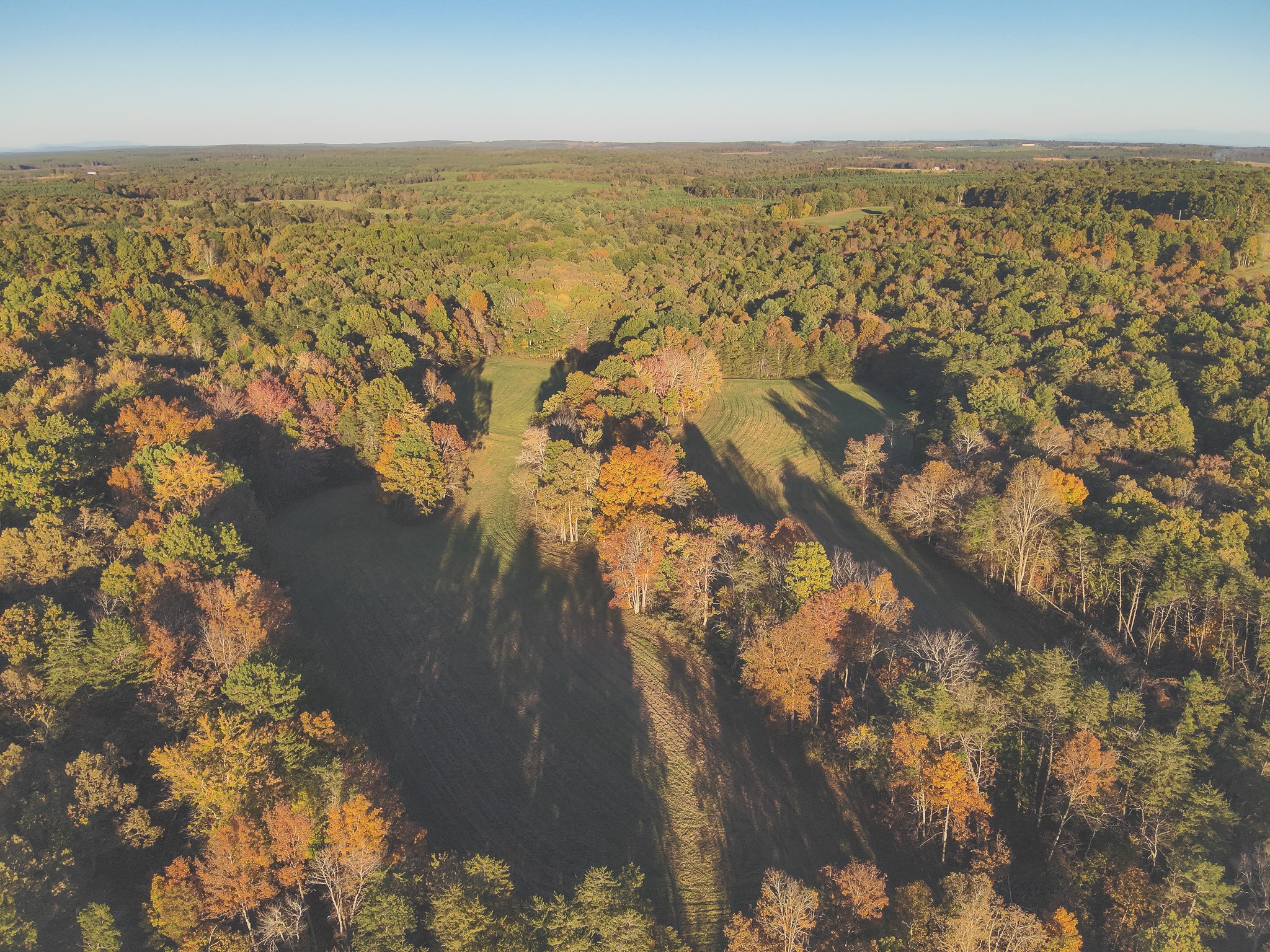 1047 Nelson Harrison Road Evensville, TN 37332 - Photo 18 of 100