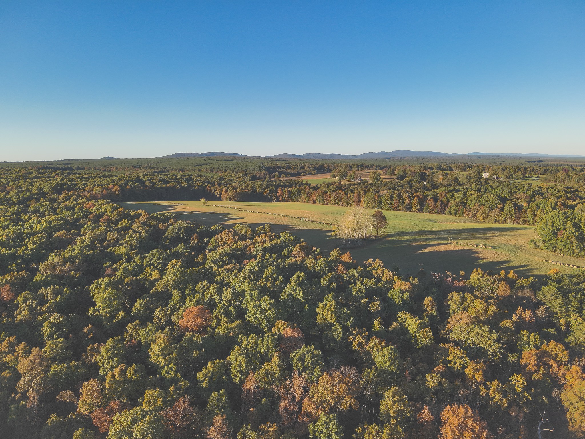 1047 Nelson Harrison Road Evensville, TN 37332 - Photo 19 of 100