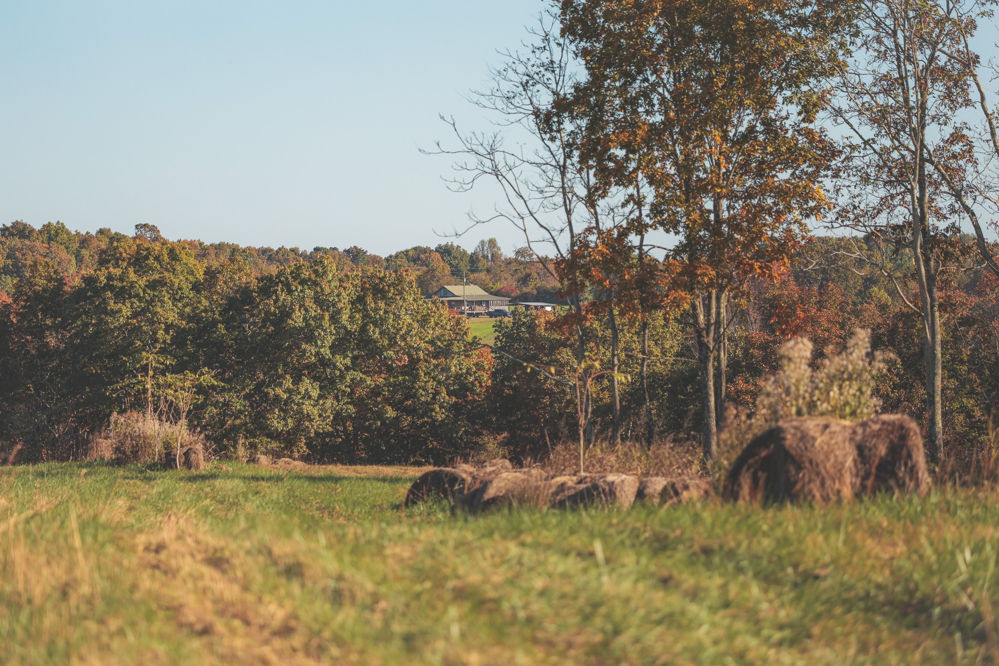 1047 Nelson Harrison Road Evensville, TN 37332 - Photo 24 of 100 a view of a yard