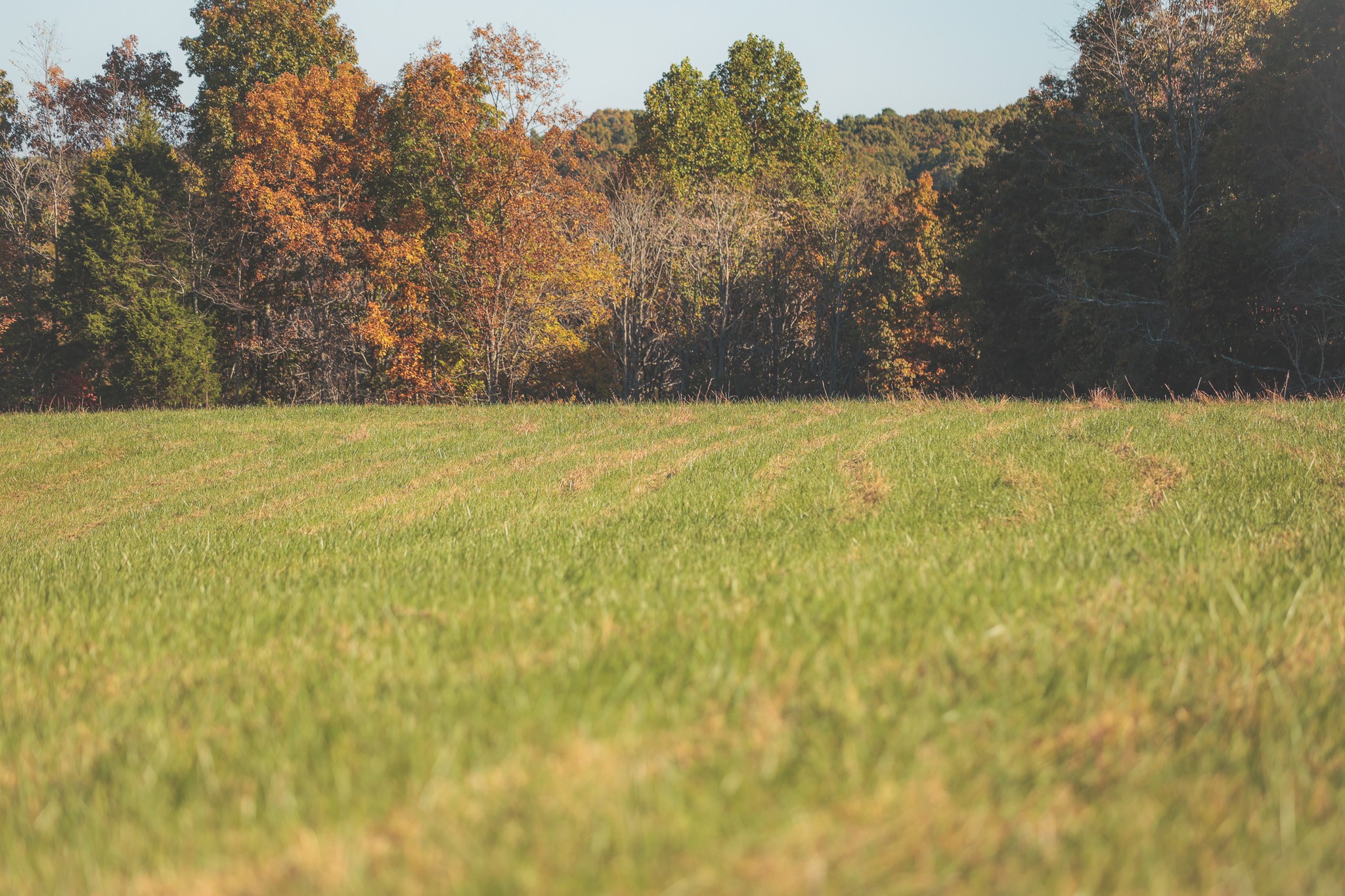 1047 Nelson Harrison Road Evensville, TN 37332 - Photo 26 of 100