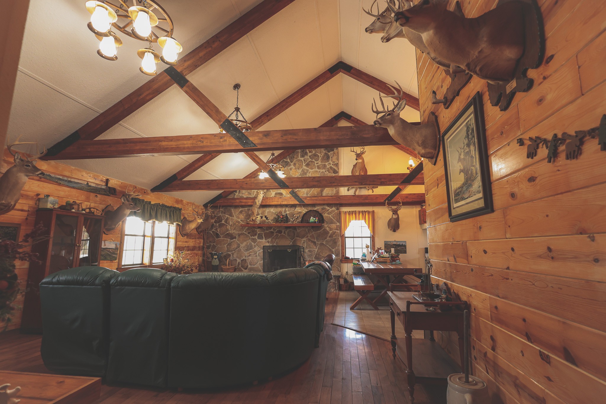 1047 Nelson Harrison Road Evensville, TN 37332 - Photo 47 of 100