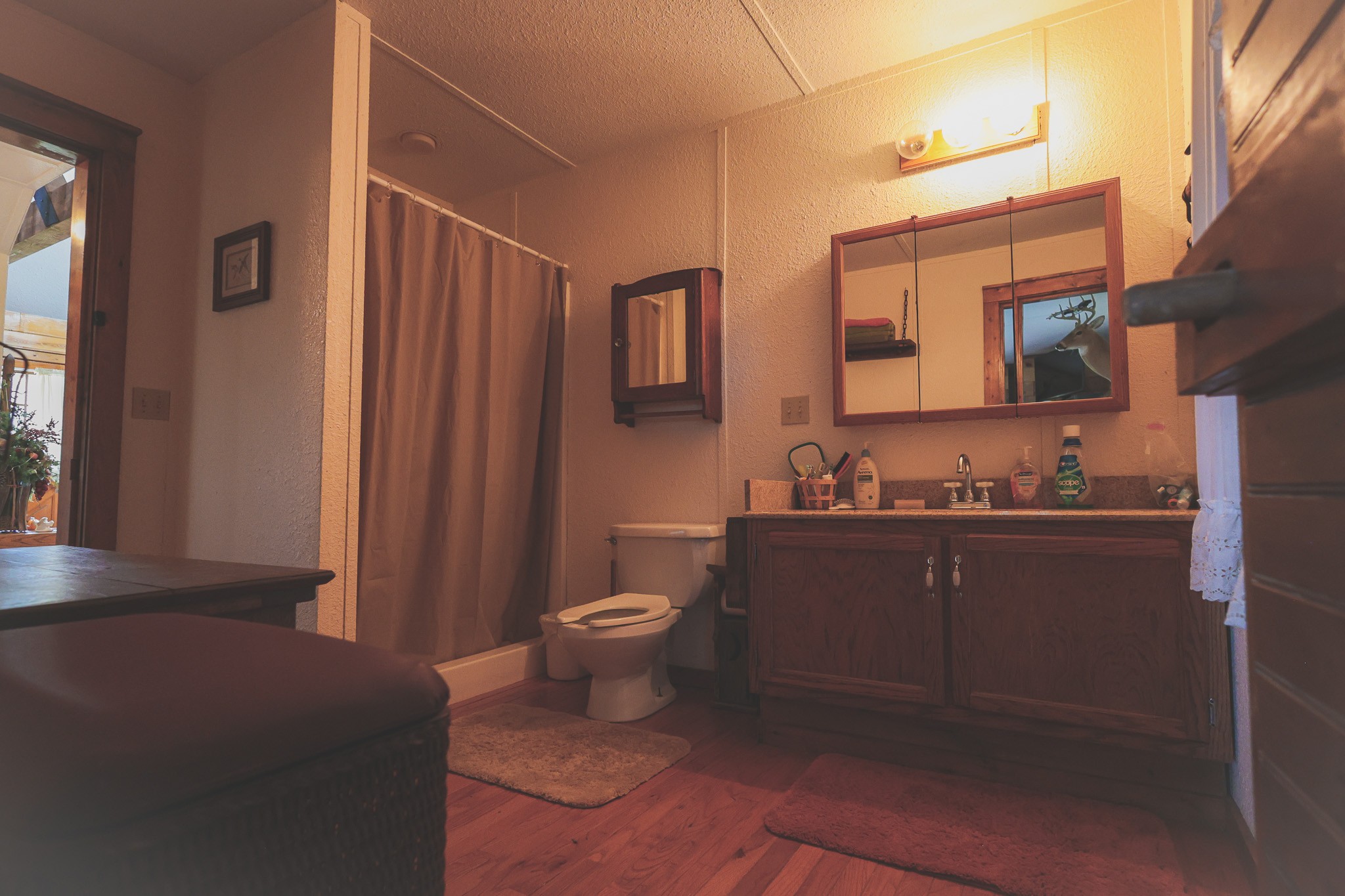 1047 Nelson Harrison Road Evensville, TN 37332 - Photo 56 of 100 a bathroom with a sink a toilet and shower