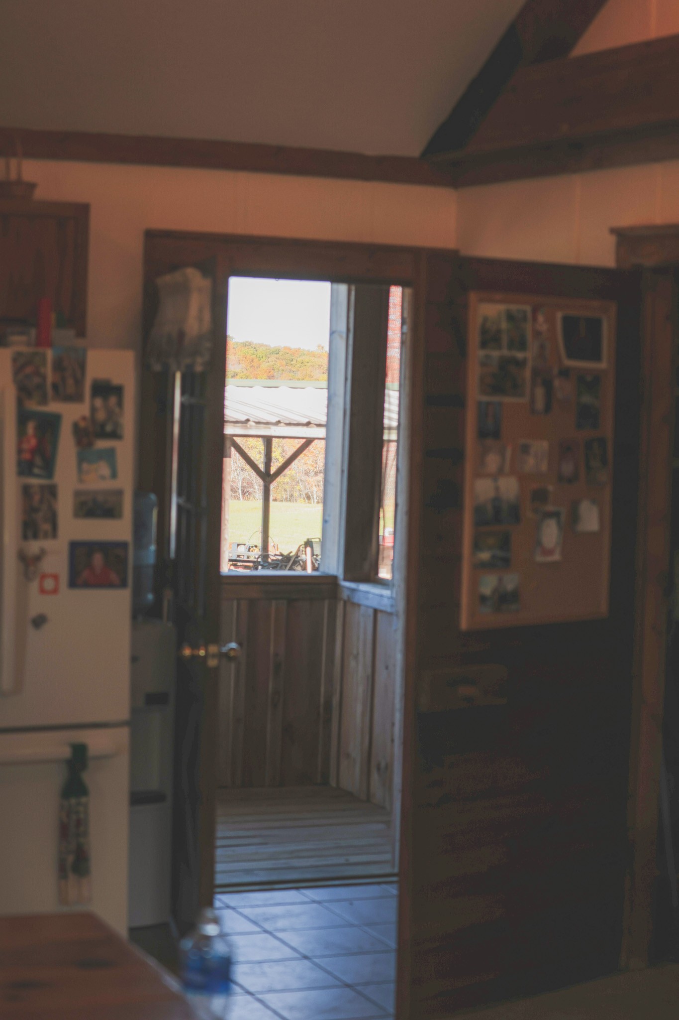 1047 Nelson Harrison Road Evensville, TN 37332 - Photo 67 of 100 a view of front door with wooden floor