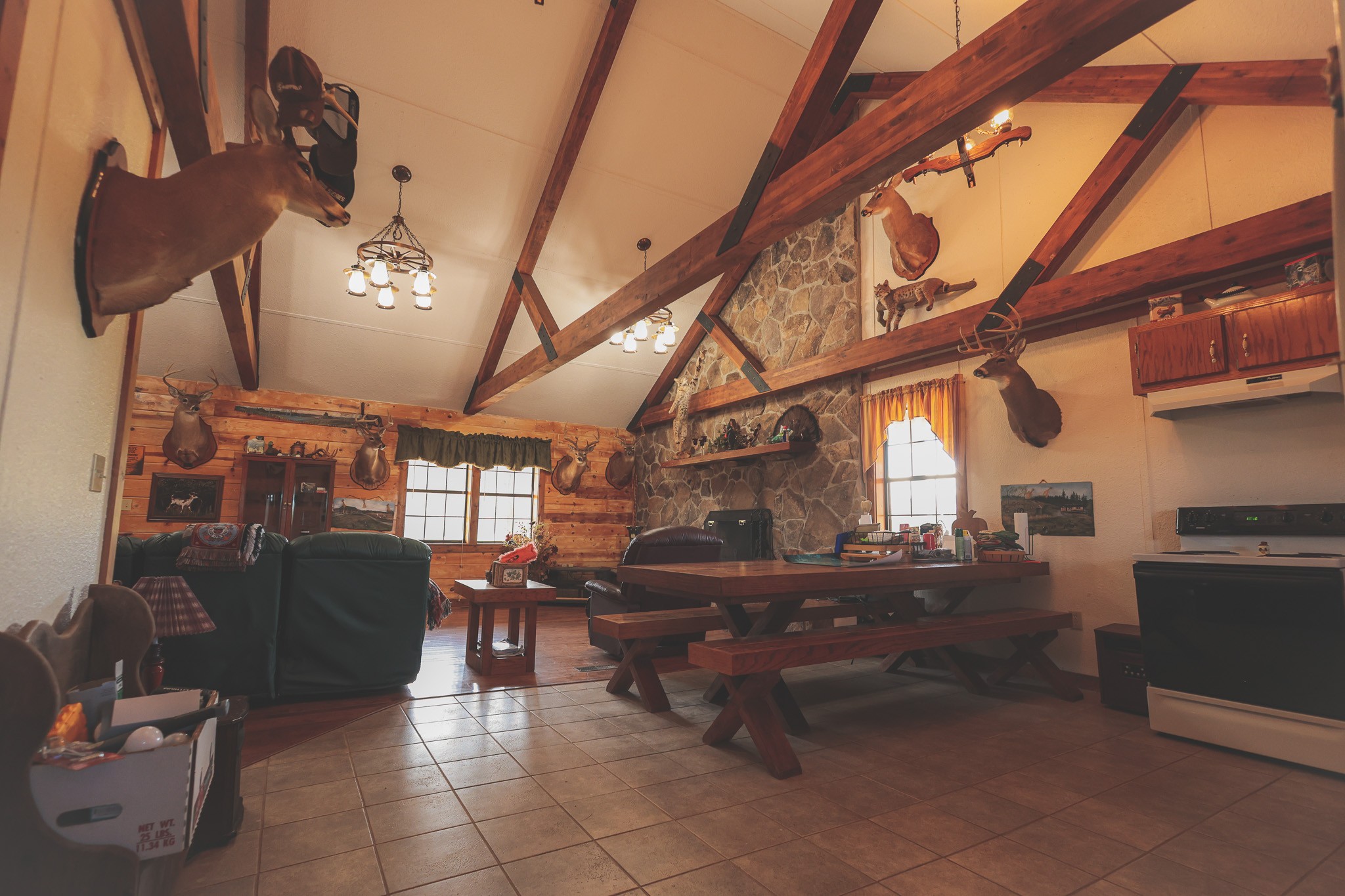 1047 Nelson Harrison Road Evensville, TN 37332 - Photo 76 of 100
