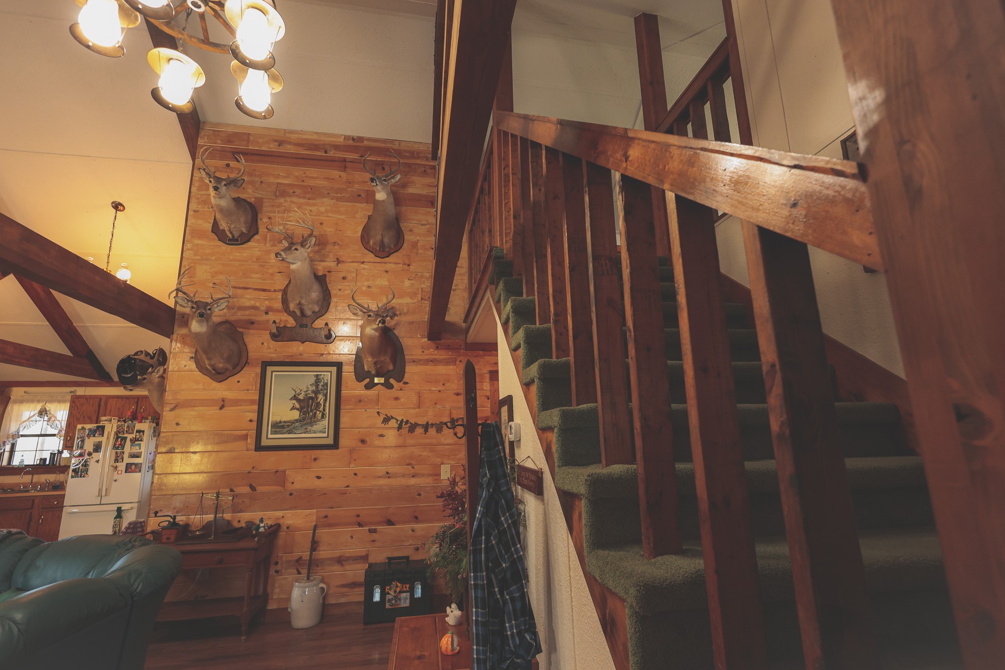 1047 Nelson Harrison Road Evensville, TN 37332 - Photo 77 of 100 a view of entryway