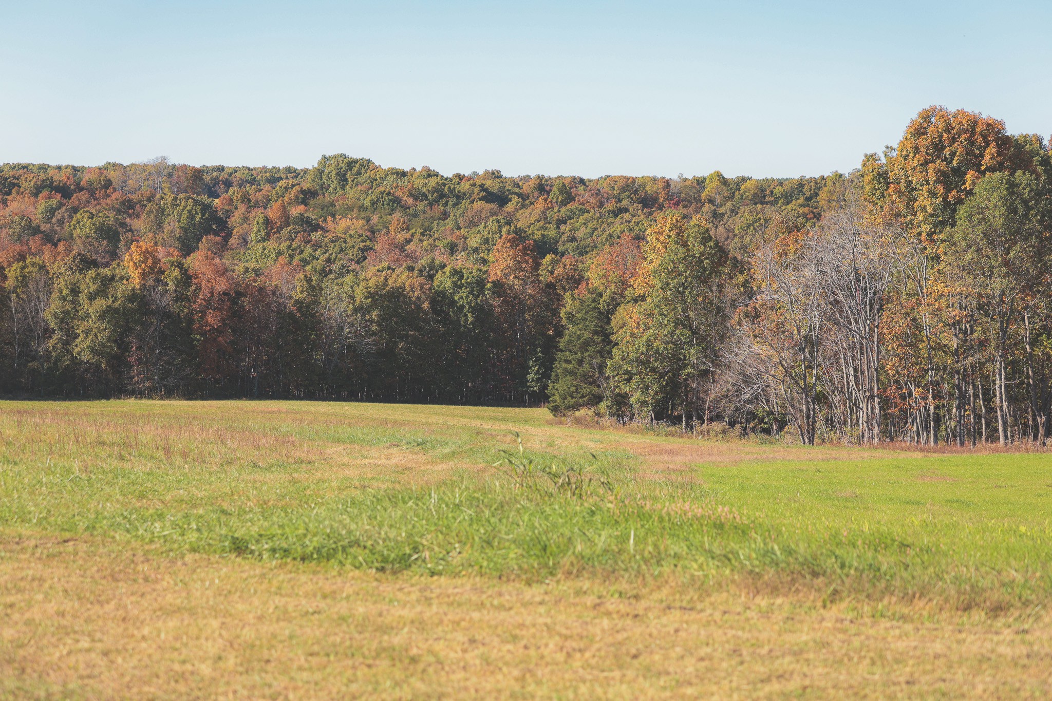 1047 Nelson Harrison Road Evensville, TN 37332 - Photo 96 of 100