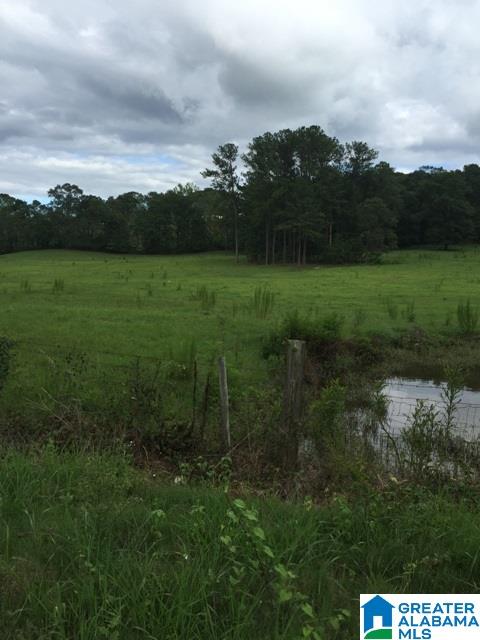 0 Barclay Road, Unit 2 Alpine, AL 35014 - Photo 14 of 16 Gallery Image 14