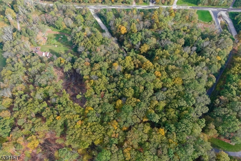 97 Moore Road Wantage, NJ 07461 - Photo 2 of 6 a view of a yard with a tree
