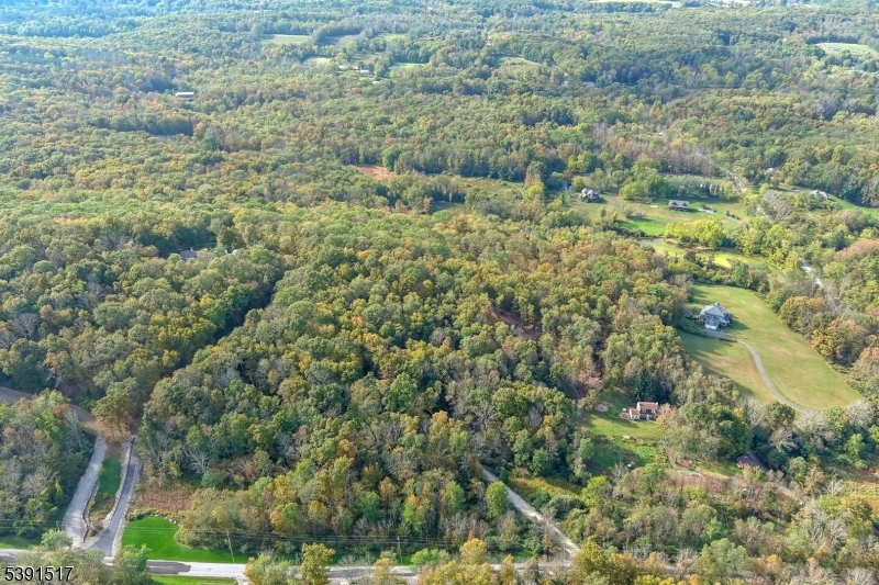 97 Moore Road Wantage, NJ 07461 - Photo 3 of 6 a view of a forest with a street