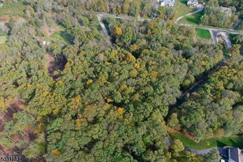 97 Moore Road Wantage, NJ 07461 - Photo 4 of 6 a view of a forest with a tree