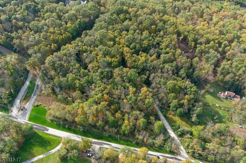 97 Moore Road Wantage, NJ 07461 - Photo 5 of 6 a view of a forest with a lush green forest