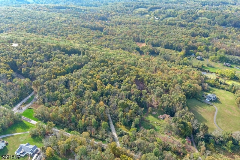 97 Moore Road Wantage, NJ 07461 - Photo 6 of 6 a view of a lush green forest with lots of trees