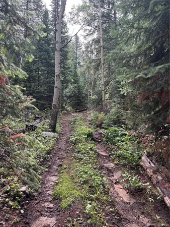 $459,000 | 850 Lupine Place, Black Hawk, CO 80422