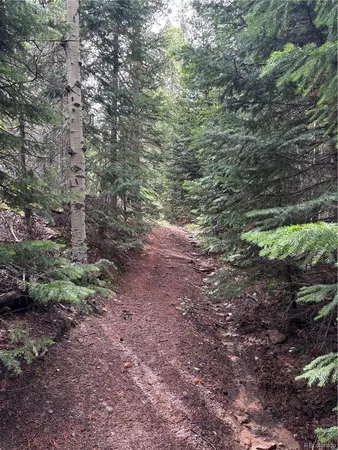 $459,000 | 850 Lupine Place, Black Hawk, CO 80422