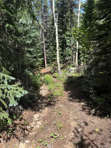 a view of a yard with a tree