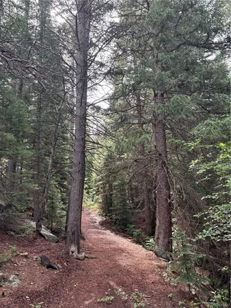 $459,000 | 850 Lupine Place, Black Hawk, CO 80422