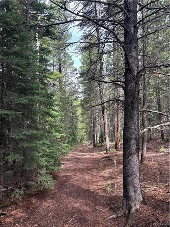 $459,000 | 850 Lupine Place, Black Hawk, CO 80422