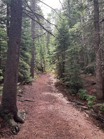 a view of backyard of green space