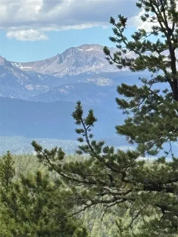 an aerial view of houses covered in trees
