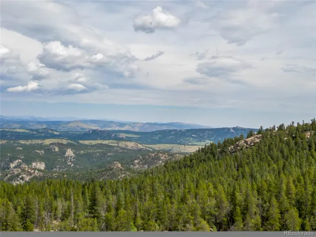a view of a green field with lots of bushes