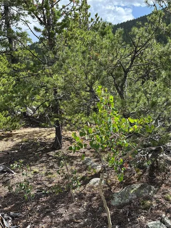 $459,000 | 850 Lupine Place, Black Hawk, CO 80422