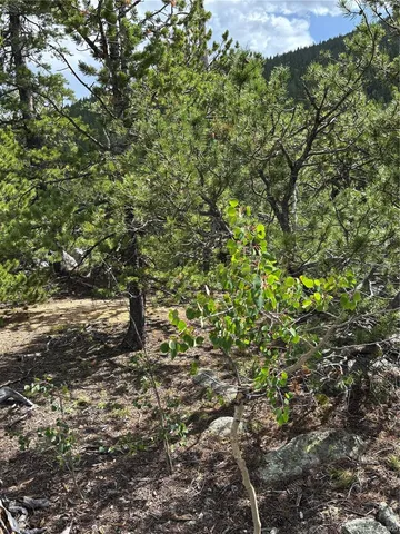 $459,000 | 850 Lupine Place, Black Hawk, CO 80422