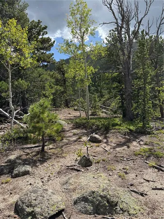 $459,000 | 850 Lupine Place, Black Hawk, CO 80422